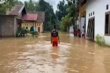 11 Kabupaten/Kota di...