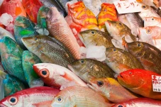 5 Manfaat Kulit Ikan...