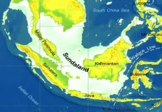 6 Fakta Menarik Sundaland,...