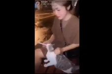 Gadis Cantik Paksa Kucing...