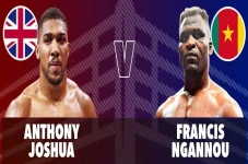Anthony Joshua vs Francis...