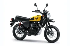 Kawasaki W175TR Punya...