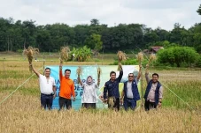 PLTS Irigasi Bukit Asam...