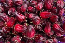 Ini Manfaat Bunga Rosella...