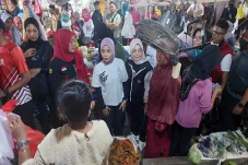 Kunjungi Pasar Tempel...