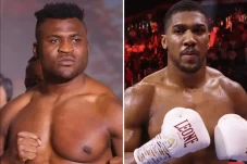 Francis Ngannou Pria...
