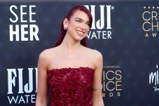 Dua Lipa Serukan Gencatan...