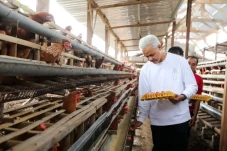 Imbau Ibu Hamil Makan...