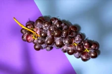 Manfaat Kandungan Vitis...