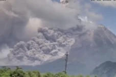 Merapi Muntahkan Wedus...