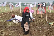 Atikoh Ganjar Tanam...