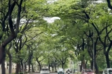 5 Rekomendasi Jalan-Jalan...