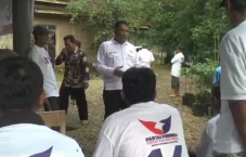 Bagikan 500 Bibit Alpukat,...