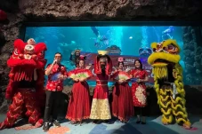 Sambut Imlek 2024, Ancol...