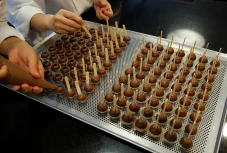 Bahan Baku Cokelat Makin...