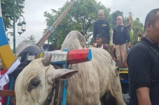 Berangkat ke Hajatan...