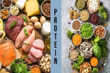 Protein Hewani vs Nabati,...