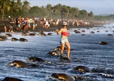 7 Negara dengan Pantai...