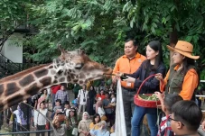 Kunjungi Kebun Binatang...