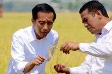 Harga Beras Menggila,...