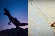 Jejak Dinosaurus Ratusan...