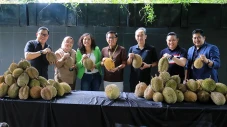 Durian Kasih Sayang...
