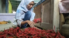 Jelang Ramadan Harga...