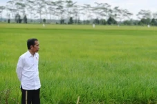 Jokowi Perpanjang Bantuan...