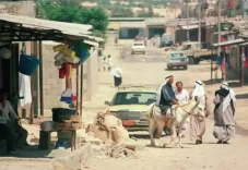 Rafah: Kota Oasis Sinai-Gaza...