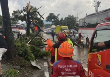 Puting Beliung Robohkan...