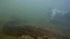 Ahli Biologi Berenang...