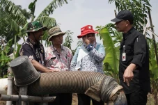 Dirjen PSP Kementan...