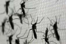 Waspada! Ratusan Warga...
