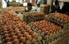 Bukan Hoaks, Telur Harganya...