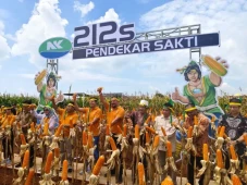 Syngenta Pasarkan NK...