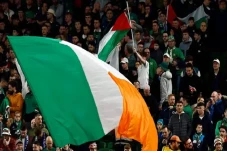 Senat Irlandia dengan...