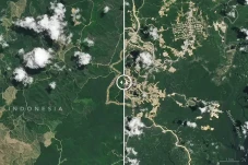 Foto NASA Ungkap Deforestrasi...