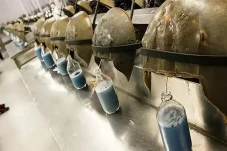 Darah Biru Kepiting...