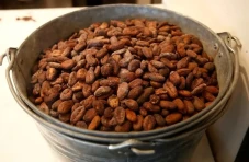 Asal-Usul Cokelat Terungkap:...