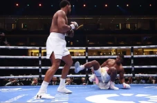 Anthony Joshua KO Francis...
