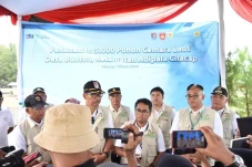 Sinergi, PLN EPI-PLN...