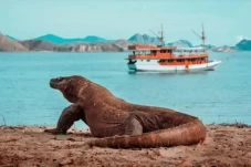 Cuaca Ekstrem, KSOP...