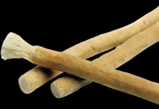 Siwak: Salah Satunya...