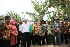 Mentan Pastikan Tambahan...