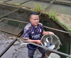 Kisah Sukses Usaha Budidaya...