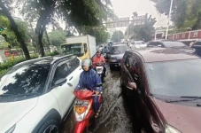 Usai Diguyur Hujan,...