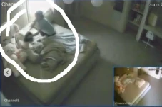 Terekam CCTV, Anak Selebram...