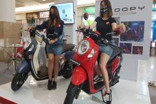 Daftar Pajak Motor Honda...