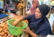 Harga Telur Tembus Rp30...