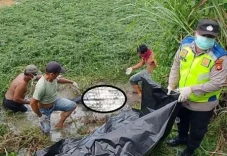 OKU Timur Gempar, Mayat...